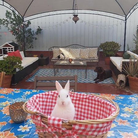 Small Room In Sants With Huge Terrace บาร์เซโลนา ภายนอก รูปภาพ