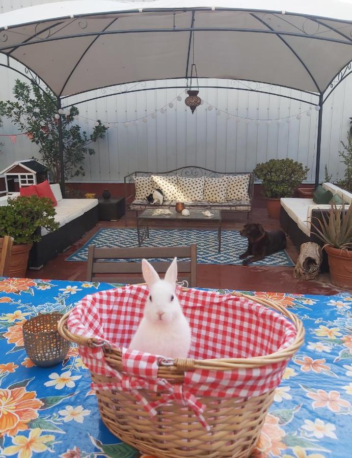 Small Room In Sants With Huge Terrace บาร์เซโลนา ภายนอก รูปภาพ